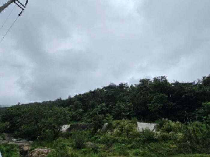 사진 13