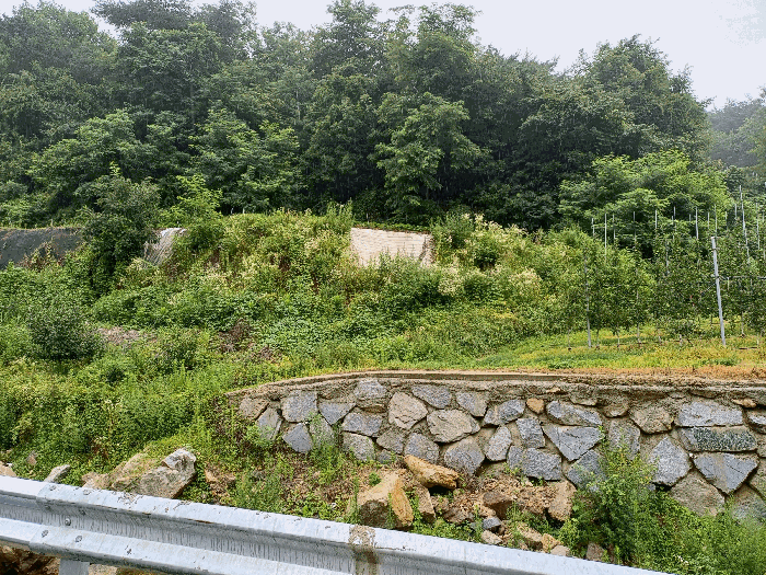 사진 4
