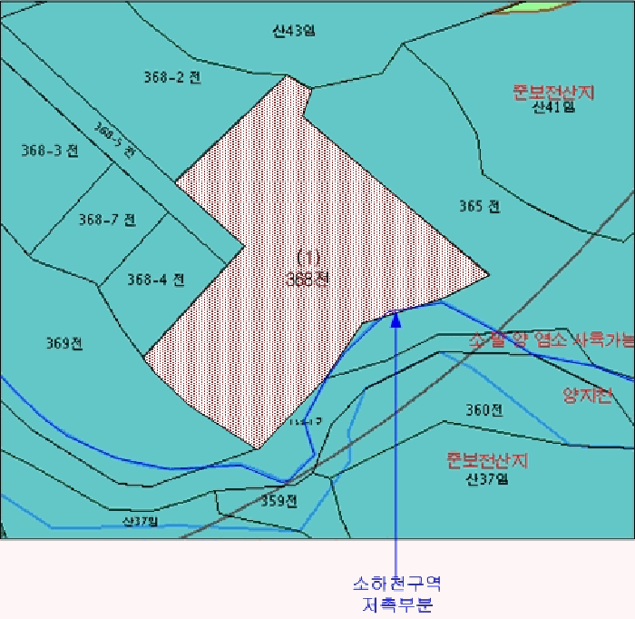 사진 12