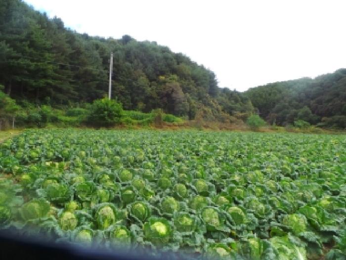 사진 3