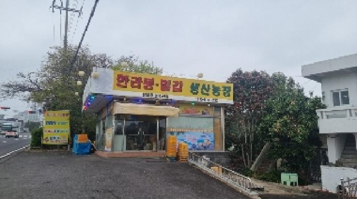 사진 9