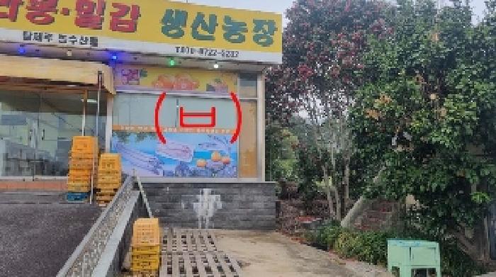 사진 24