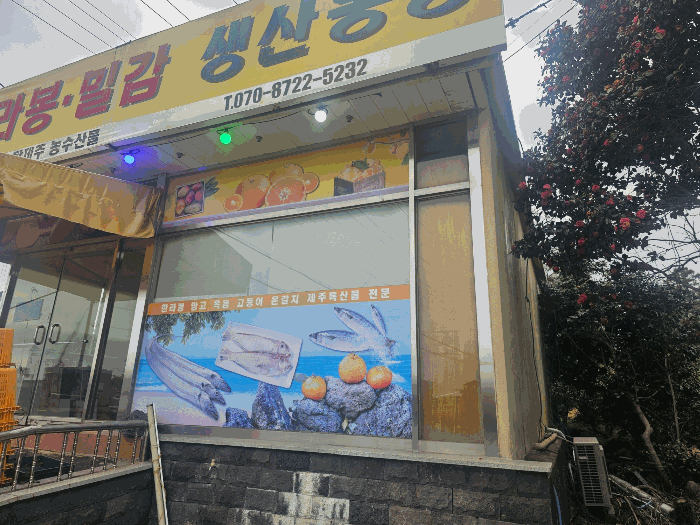 사진 45