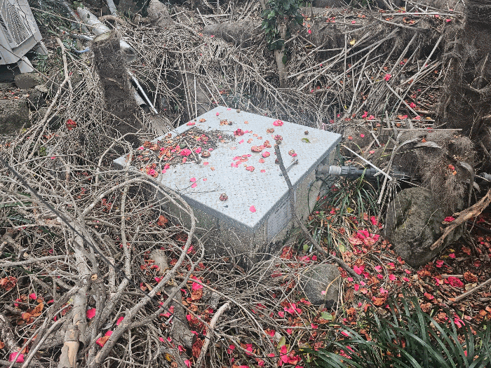 사진 52