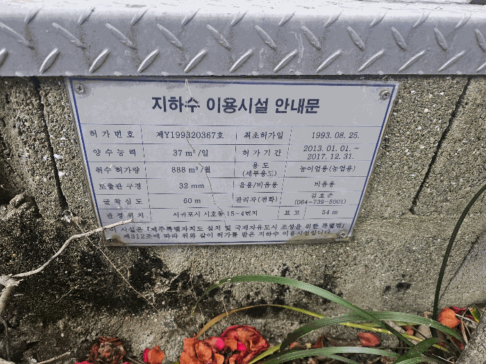 사진 53