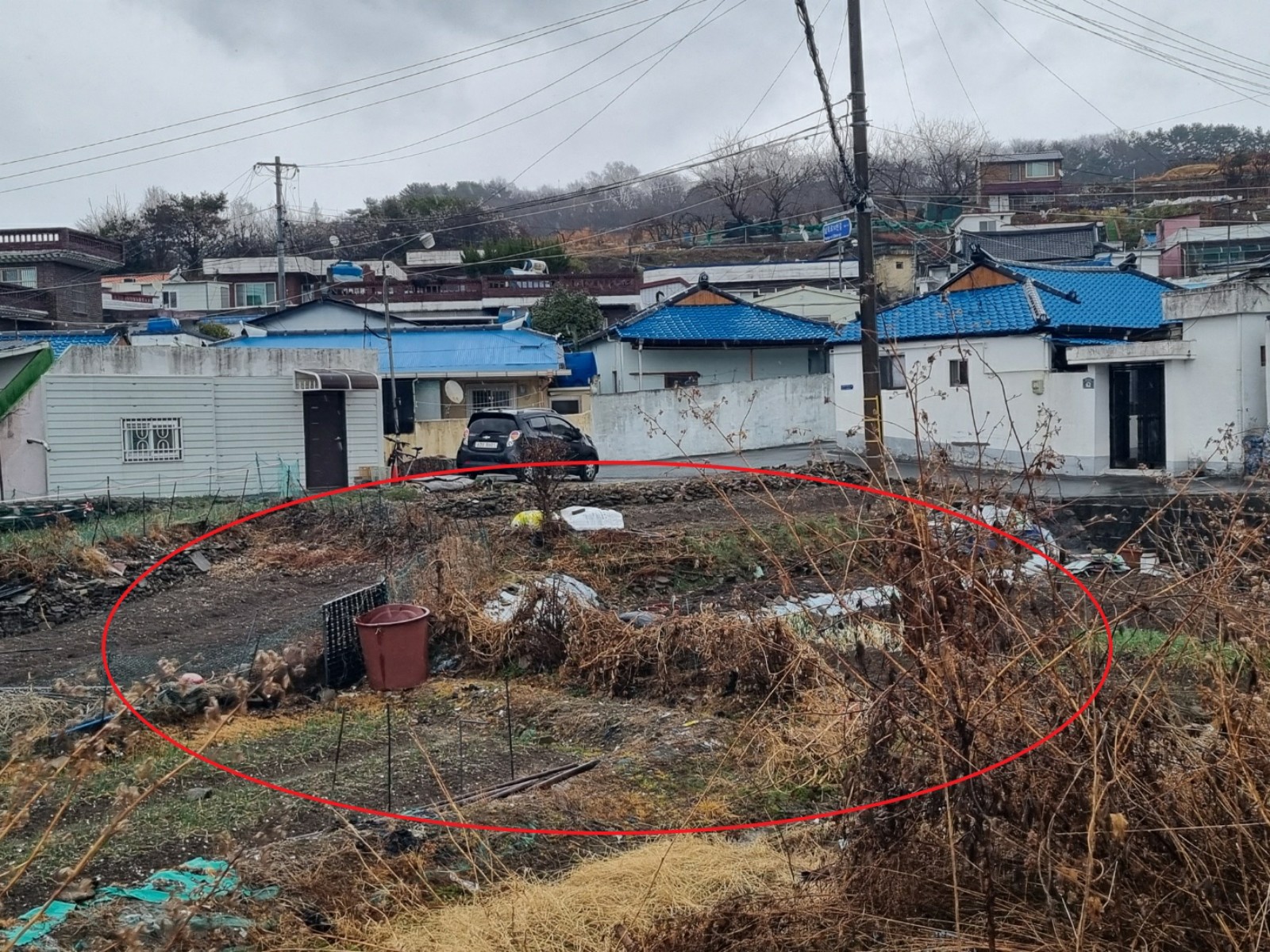 사진 1