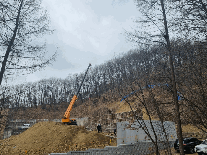 사진 10