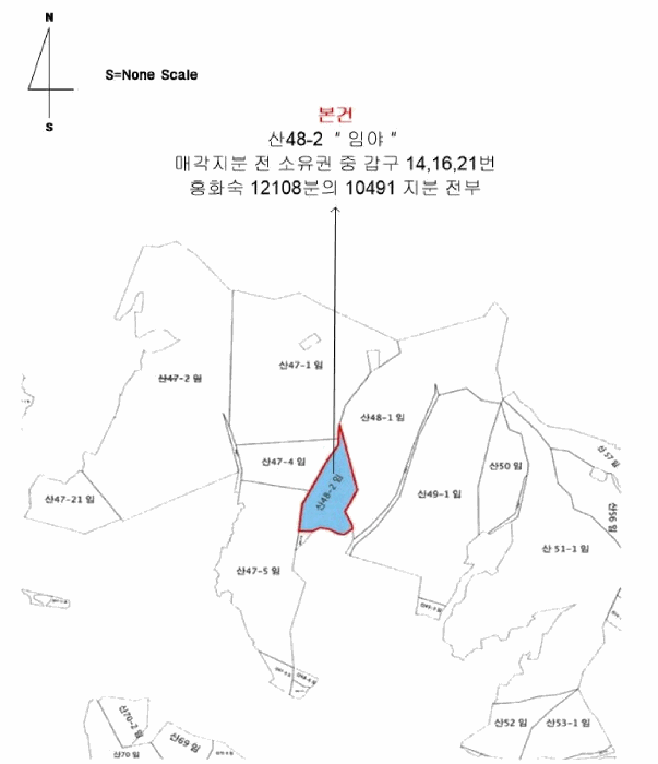 사진 13