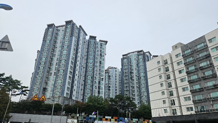 사진 5