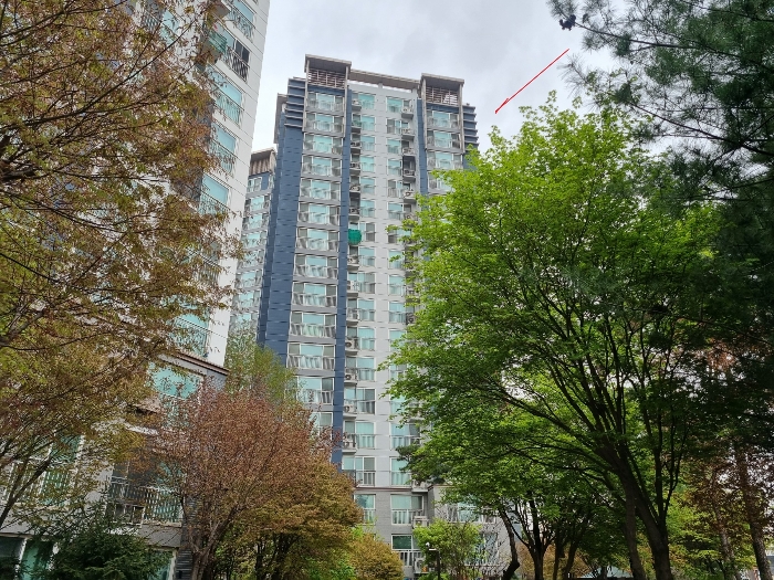 사진 8