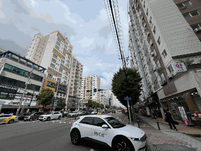 사진 12