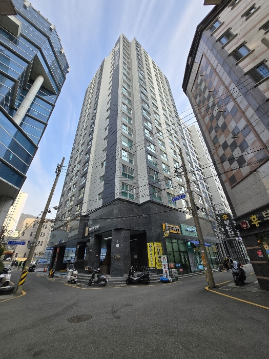 사진 1
