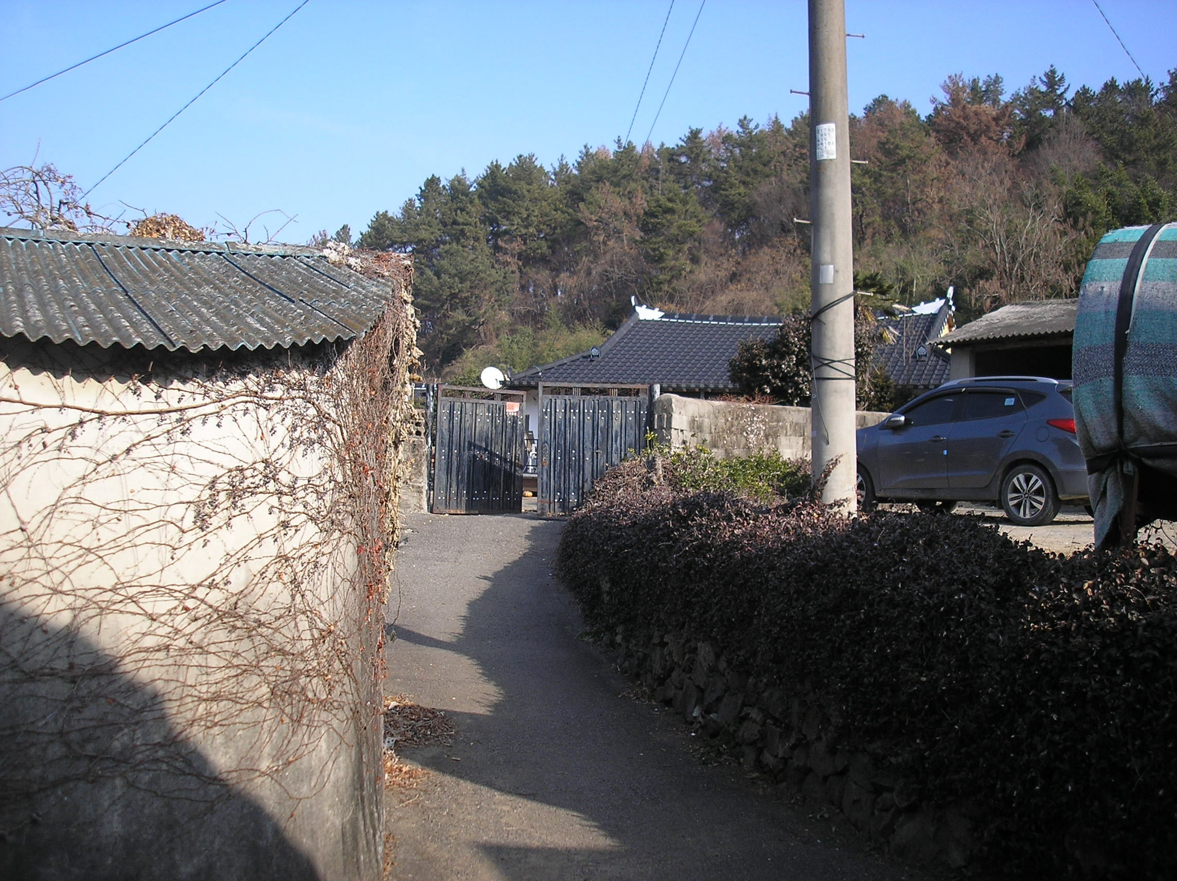사진 1