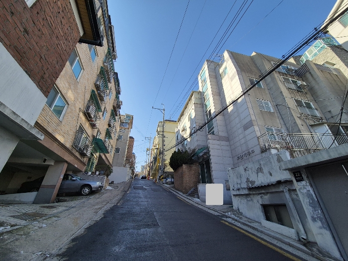 사진 12