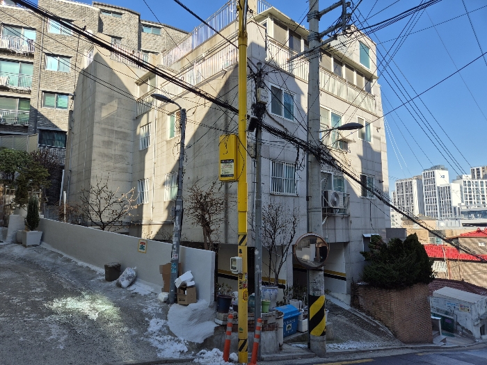 사진 13