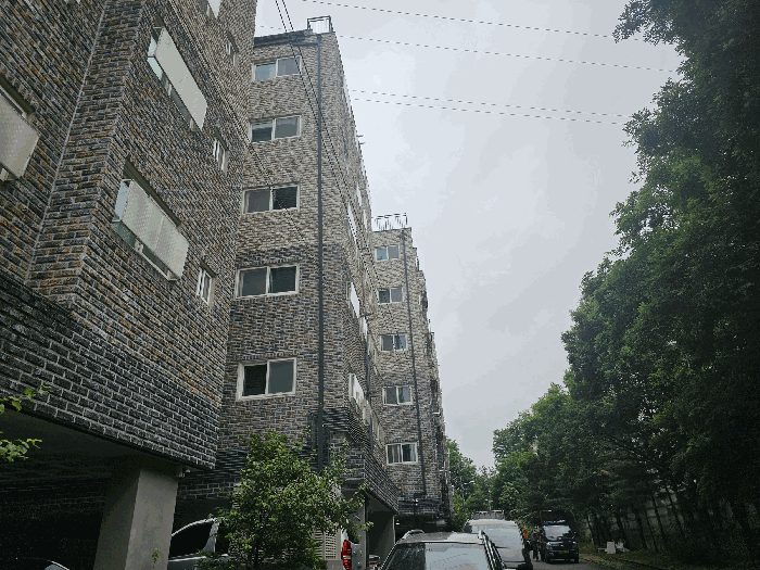 사진 6