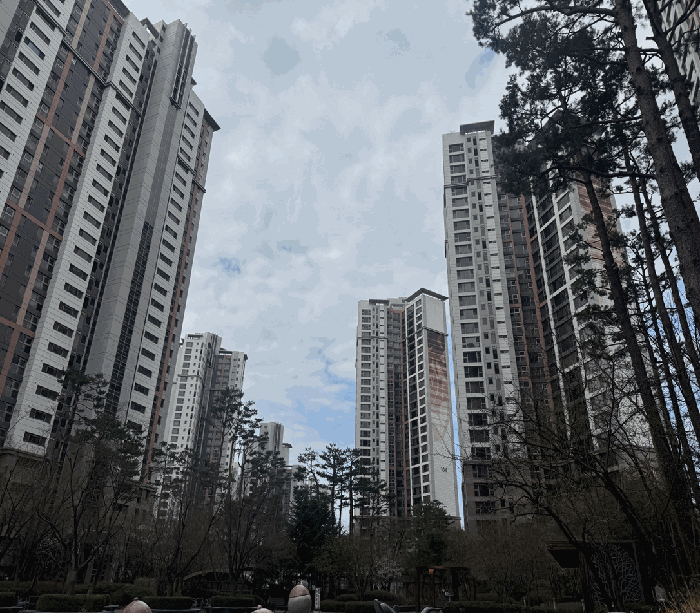 사진 11