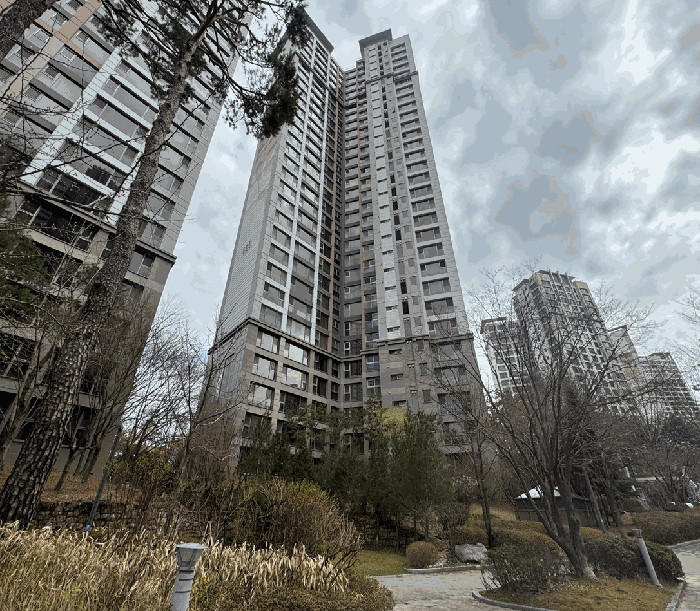 사진 12