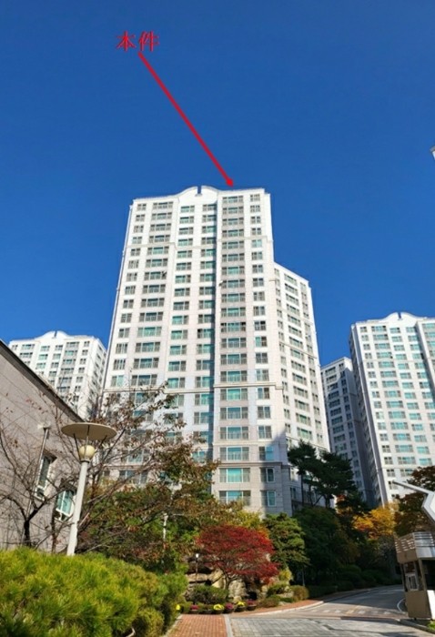 사진 8