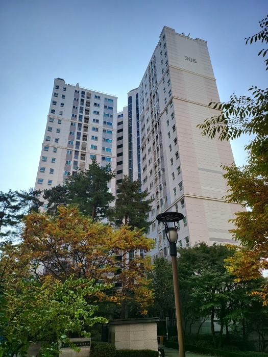 사진 9