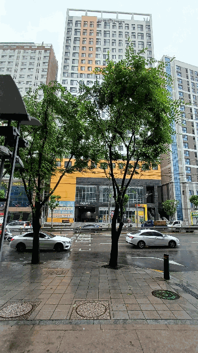 사진 1