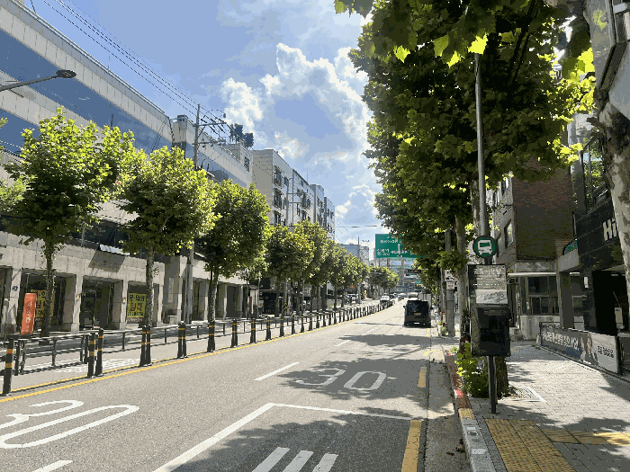 사진 11