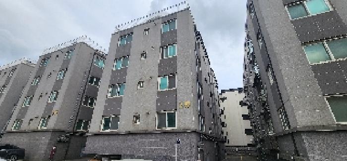 사진 3