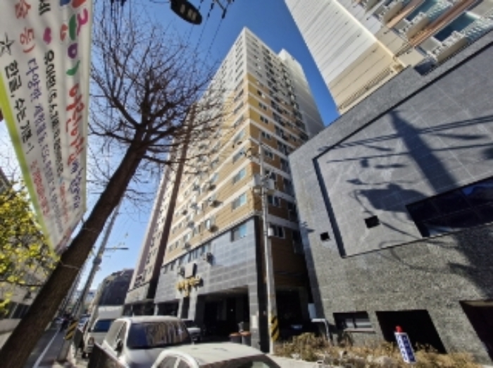 사진 1