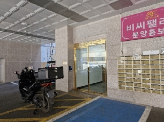 사진 11