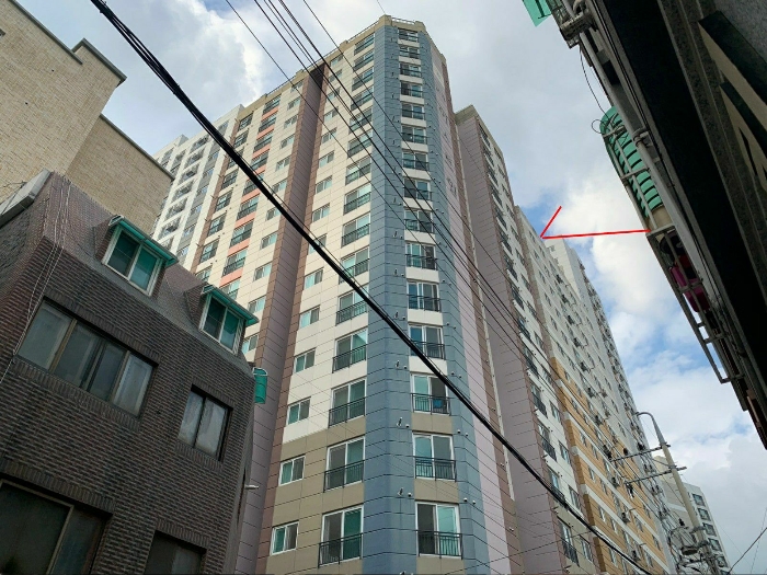 사진 15