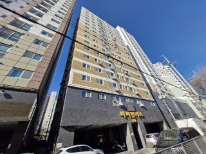 사진 3