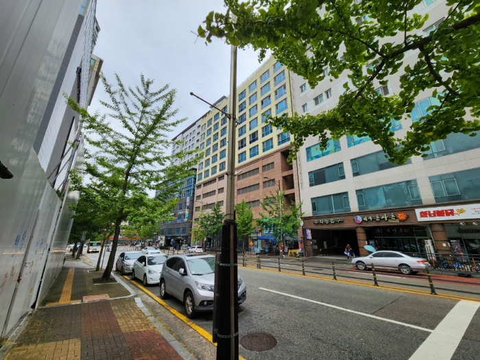 사진 8