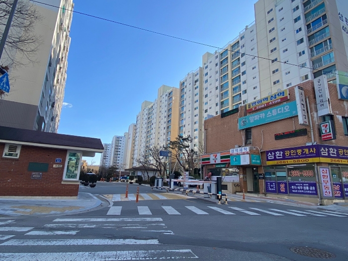 사진 11