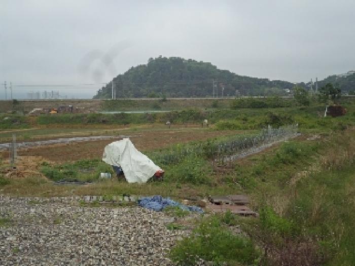 사진 2