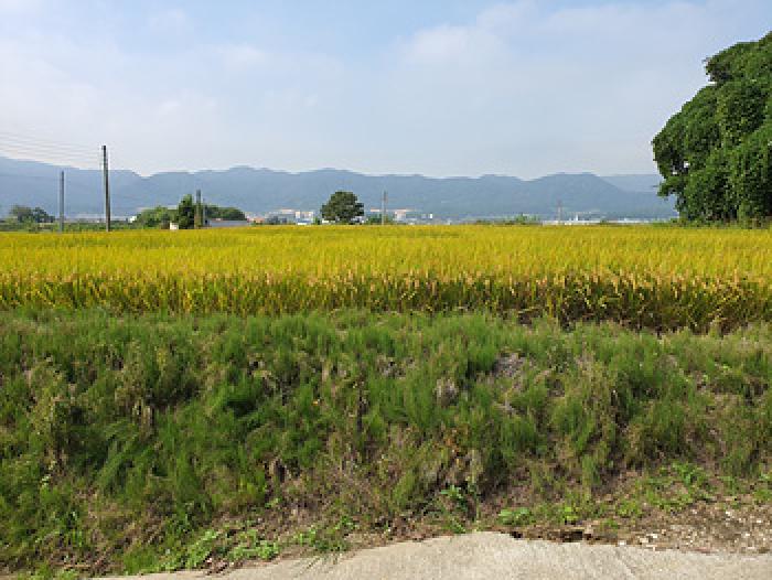 사진 12