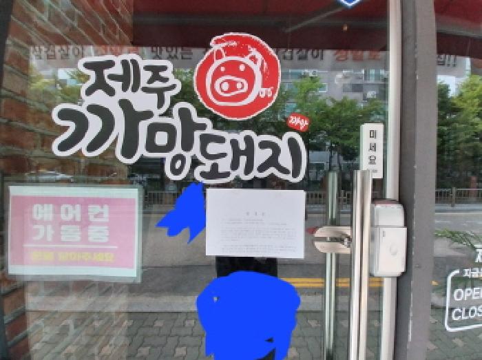 사진 12