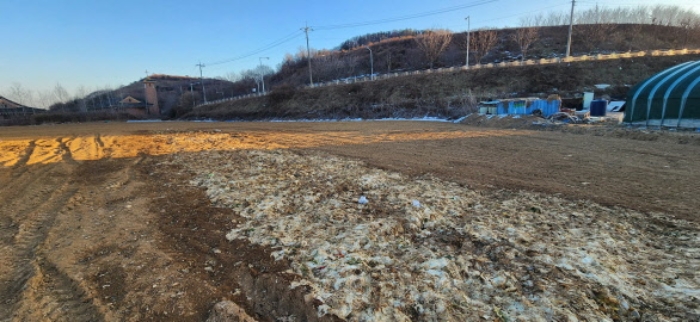 사진 10