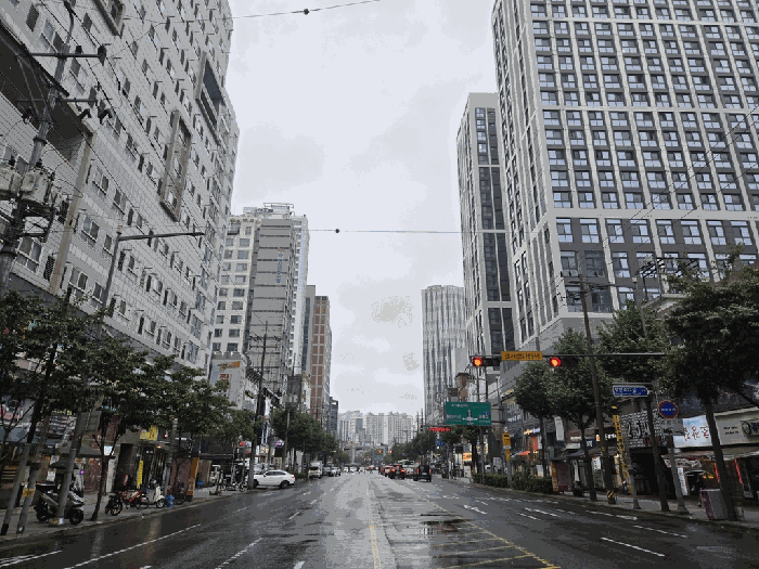 사진 11