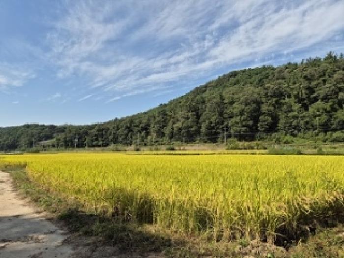 사진 7