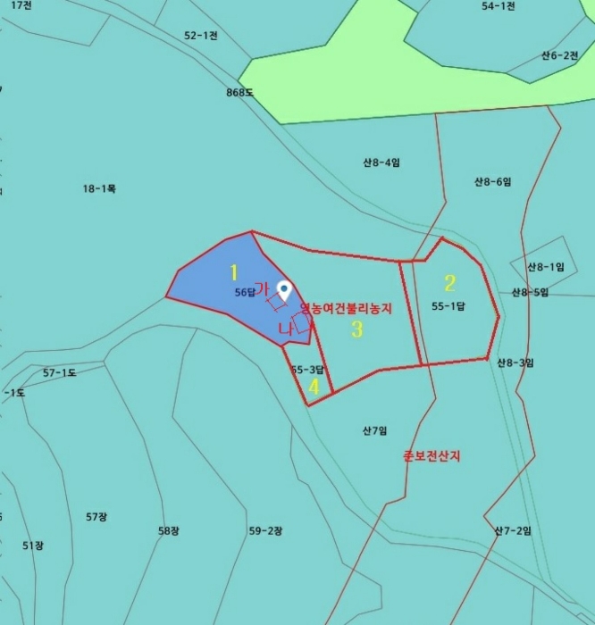 사진 41
