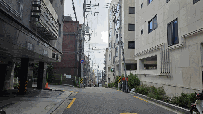 사진 15