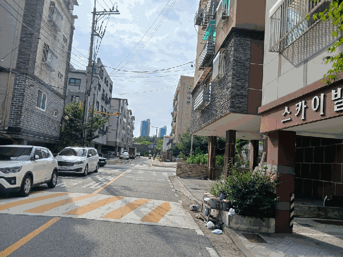 사진 10