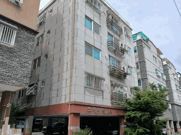 사진 11