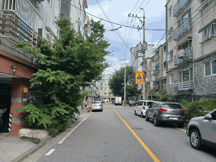 사진 13