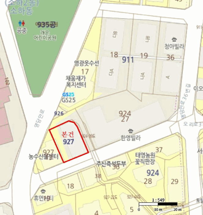 사진 19