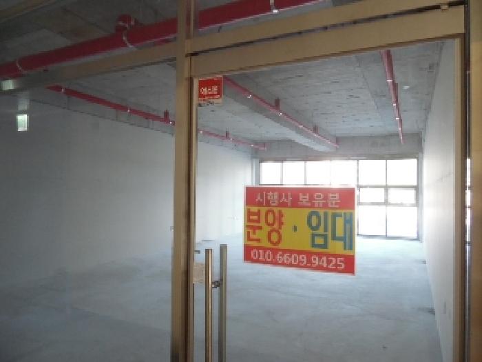 사진 11