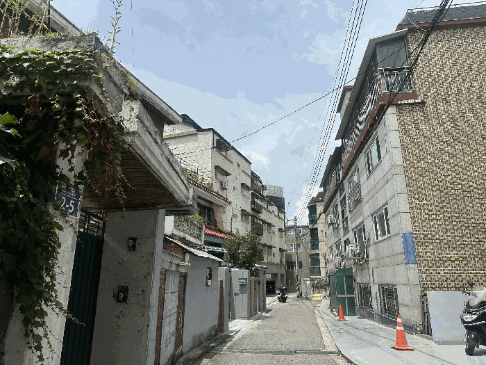 사진 4
