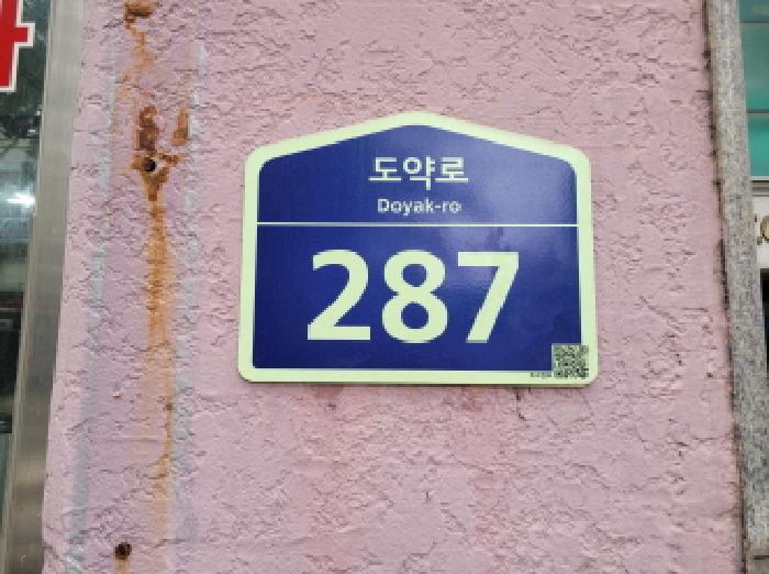 사진 11