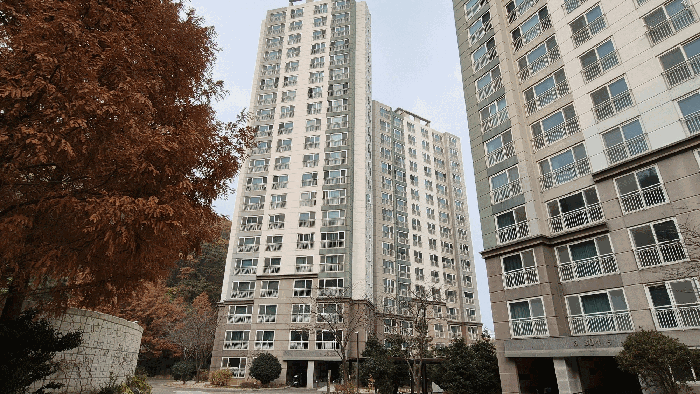 사진 1