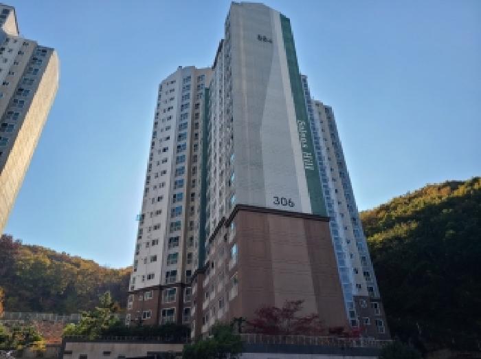 사진 8